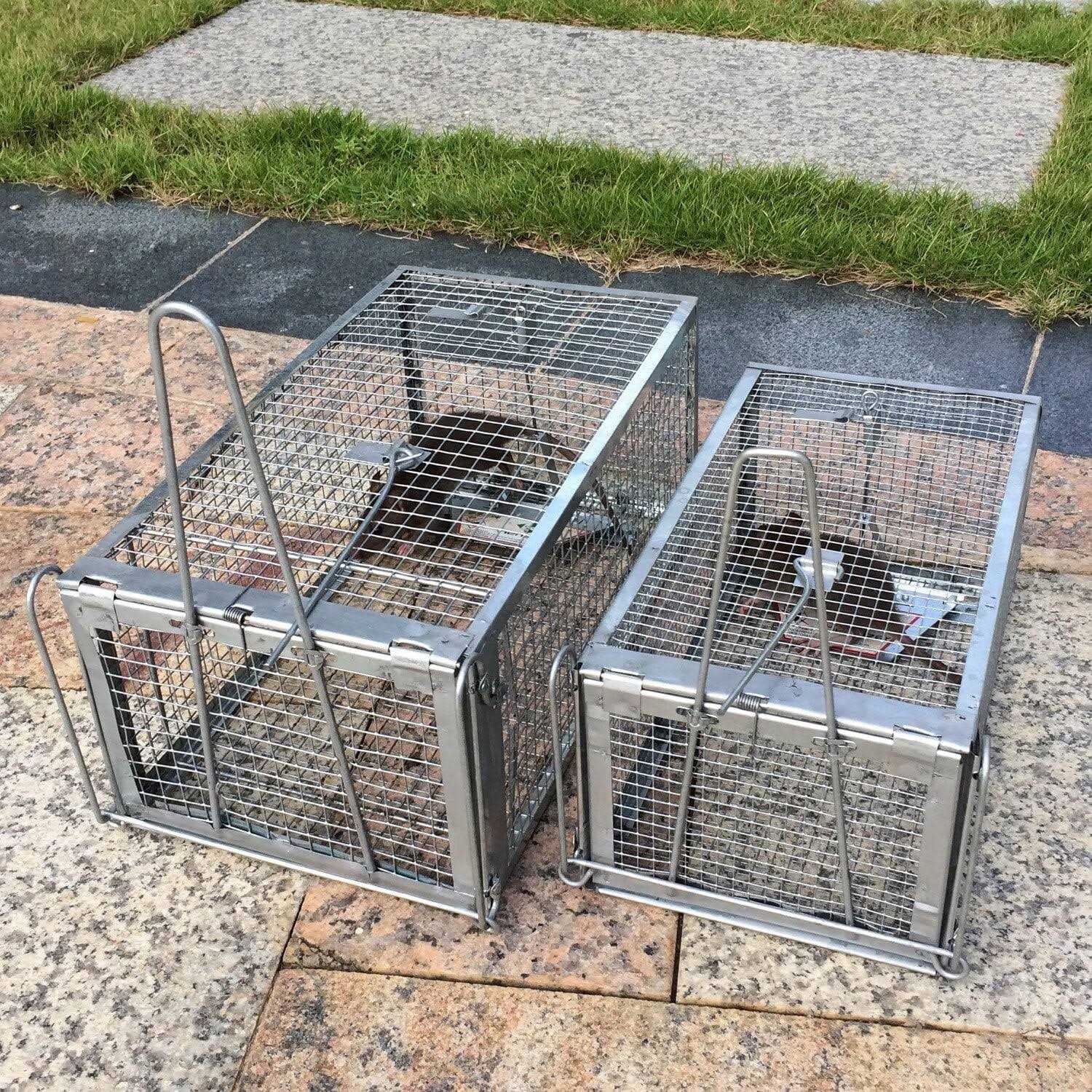Kensizer Humane Trap That Work for Rat Chipmunk and - Image 3