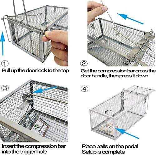 Kensizer Humane Trap That Work for Rat Chipmunk and - Image 5