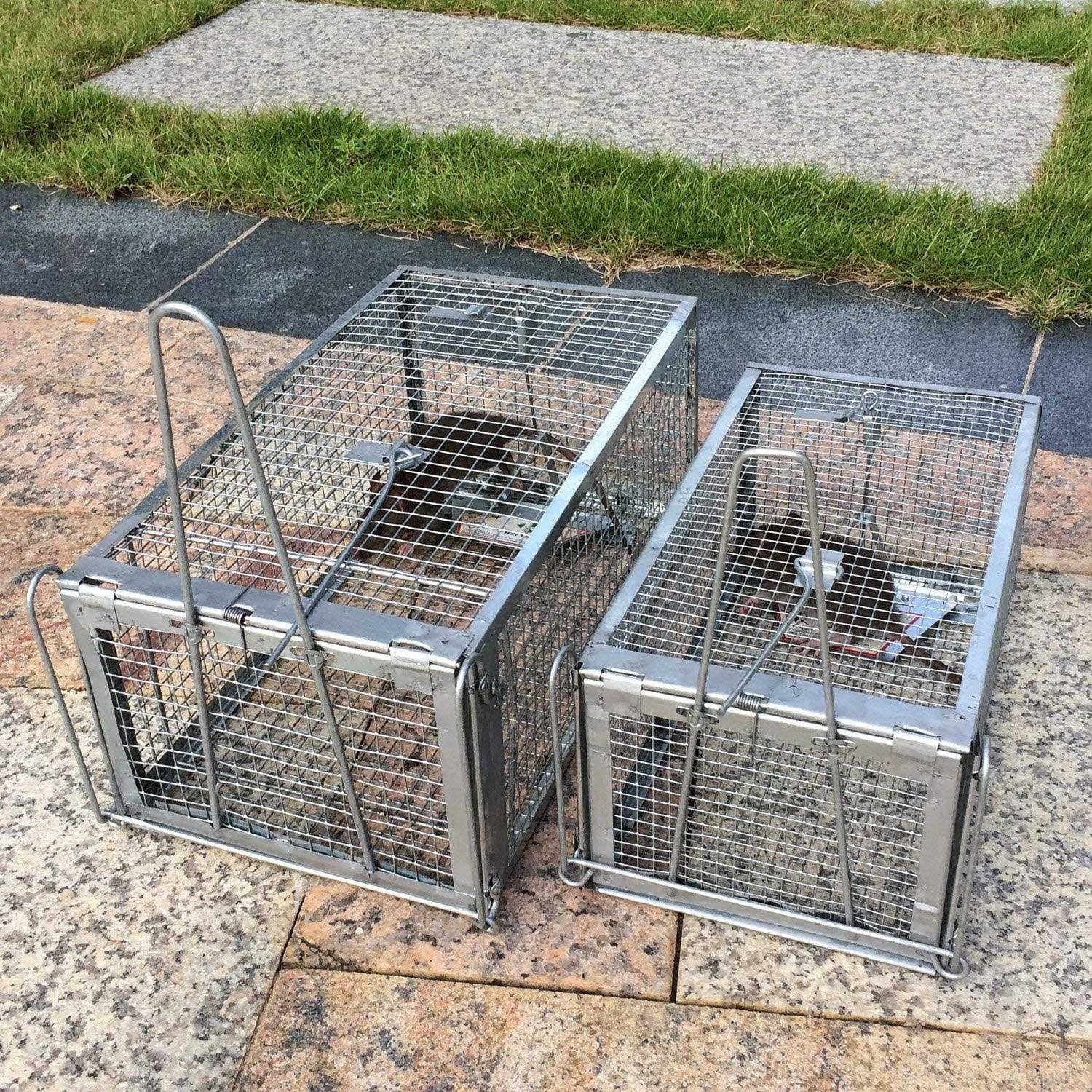 Kensizer Humane Trap That Work for Rat Chipmunk and - Image 3