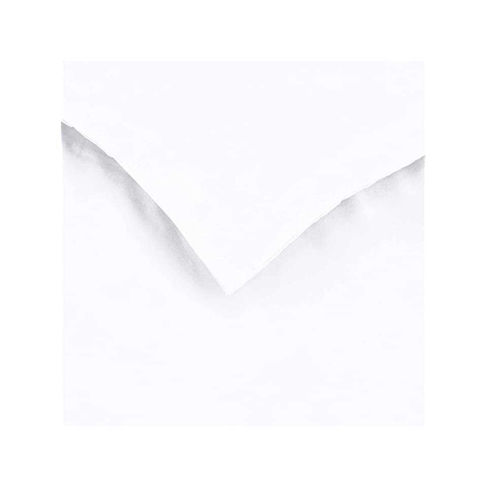 Amazon Basics Lightweight Microfiber Duvet Cover Set with Snap Buttons - Image 3