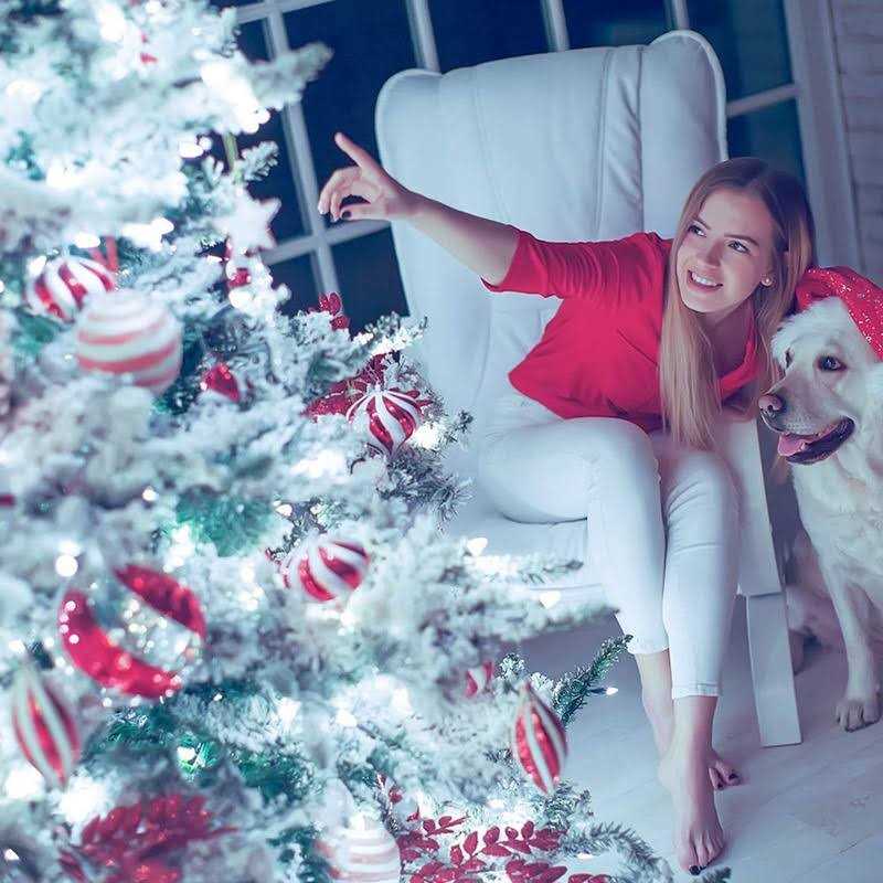 KAILEDI christmas lights 40 led string fairy lights - Image 4