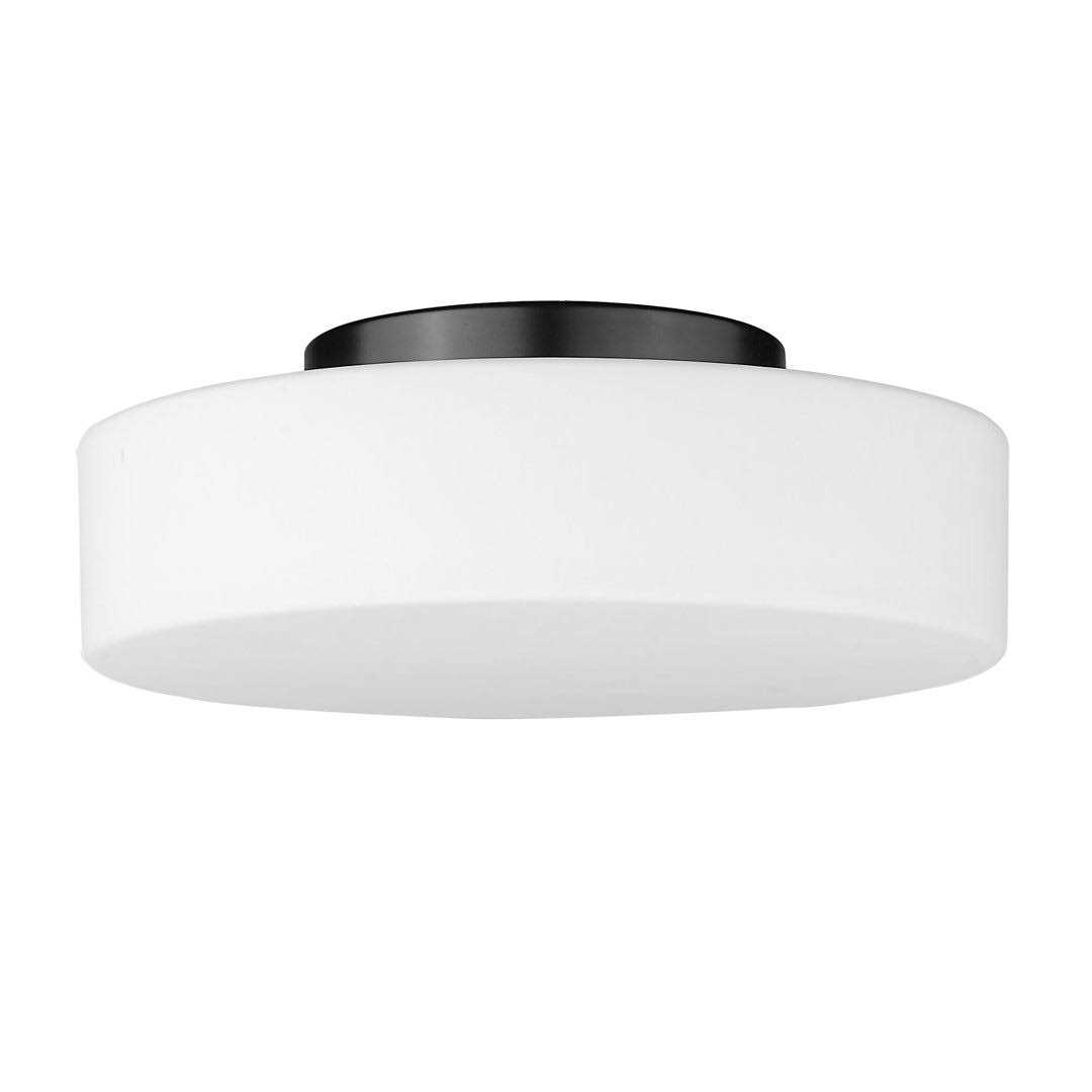 Joss & Main Glass LED Flush Mount Finish - Image 4