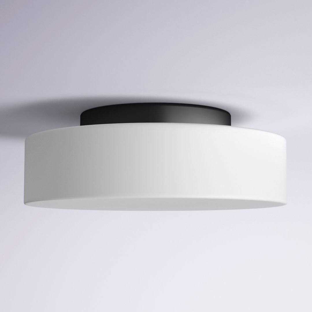 Joss & Main Glass LED Flush Mount Finish - Image 5