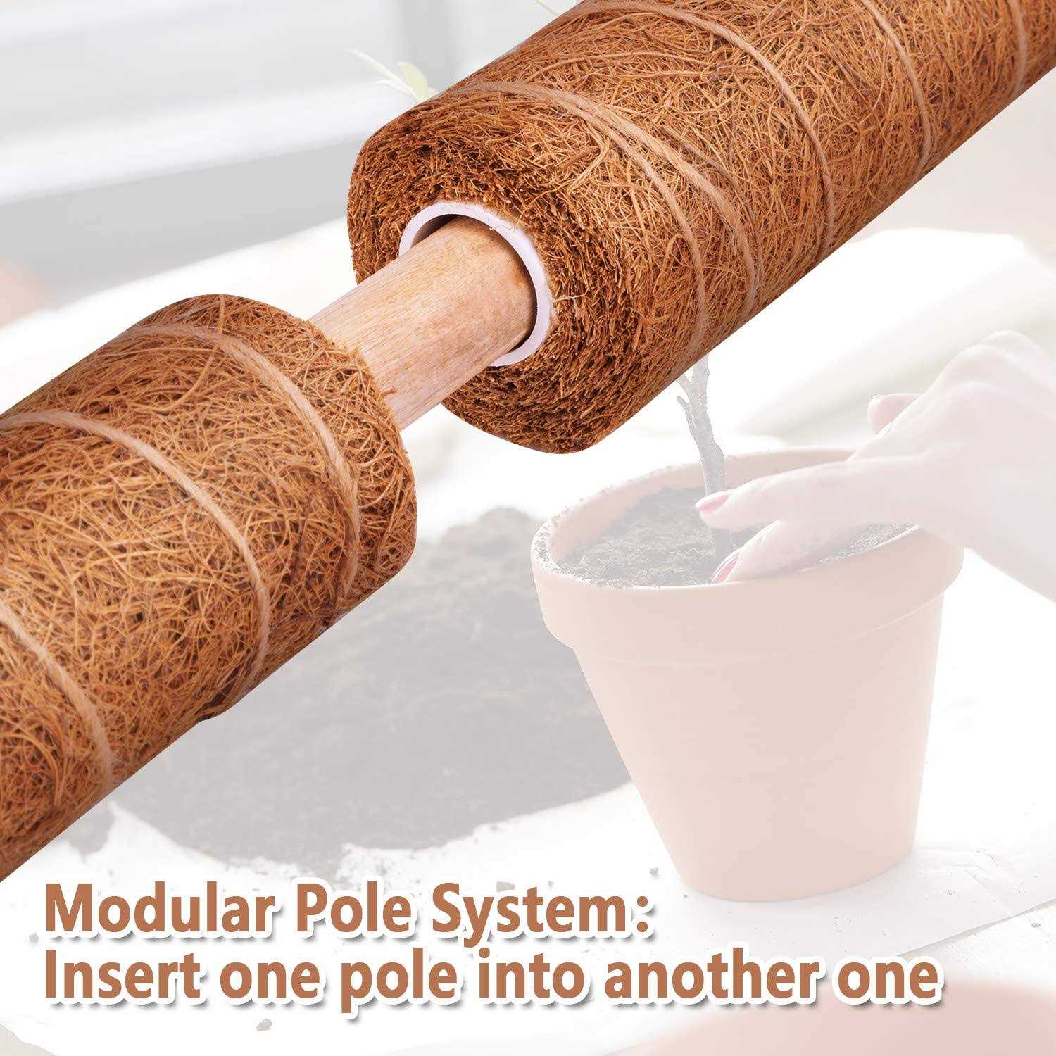 32IN Moss Pole, 2 Pack 16IN Moss Coir Totem Pole for Pothos, Moss Plant Stick, Indoor Plant Stake, Small Moss Pole for Monstera and Climbing Indoor - Image 4