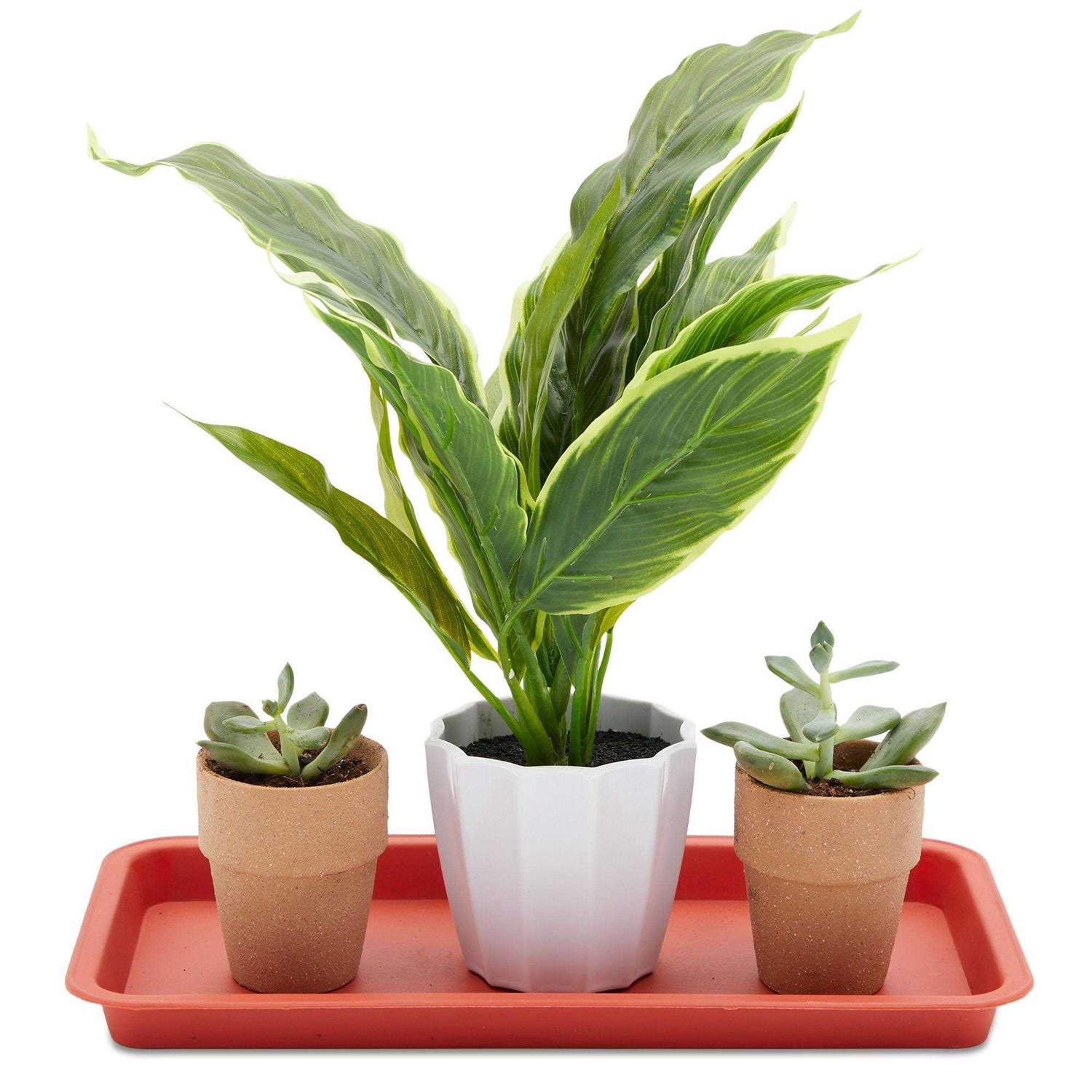 Juvale Rectangular Plant Saucer Drip Trays - Image 5