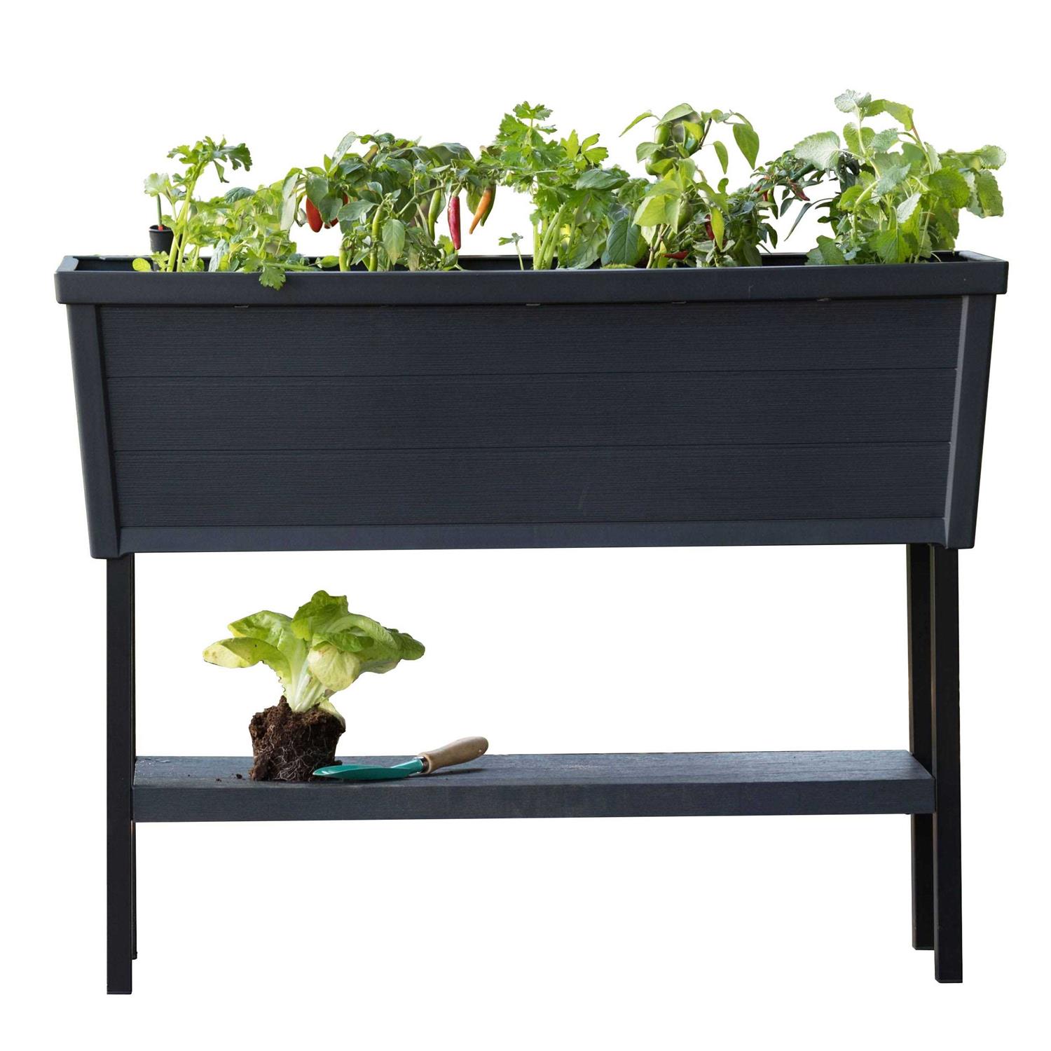 Keter 236157 Urban Bloomer Resin Elevated Planter Raised Garden Bed - Image 3
