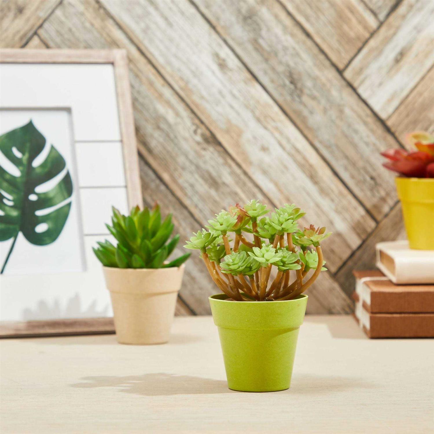 Juvale 24 Pack Plastic Mini Flower Pots Planters for Indoor - Image 5